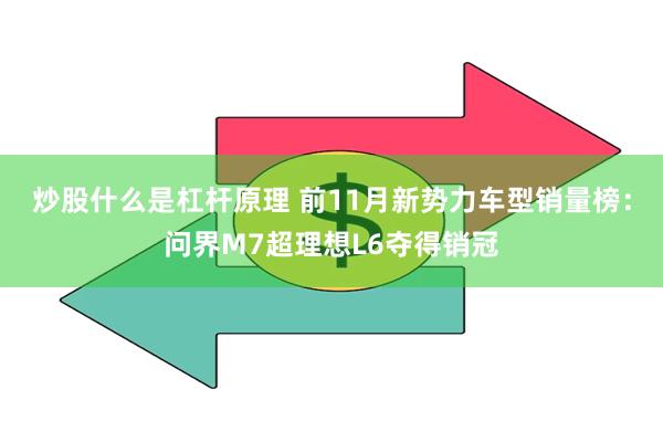 炒股什么是杠杆原理 前11月新势力车型销量榜：问界M7超理想L6夺得销冠