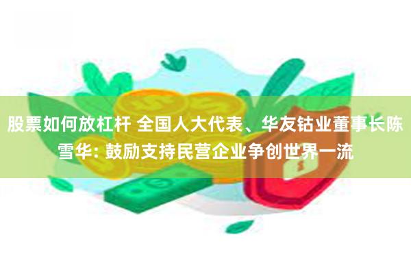 股票如何放杠杆 全国人大代表、华友钴业董事长陈雪华: 鼓励支持民营企业争创世界一流