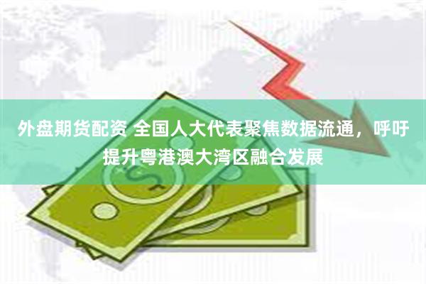 外盘期货配资 全国人大代表聚焦数据流通，呼吁提升粤港澳大湾区融合发展