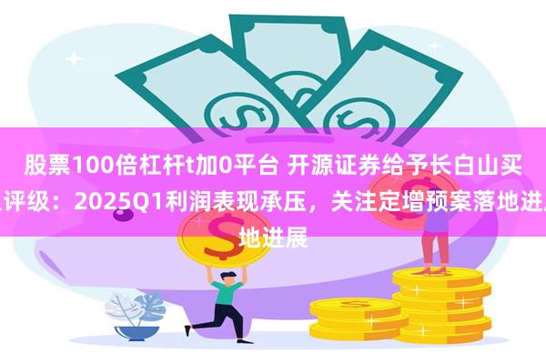 股票100倍杠杆t加0平台 开源证券给予长白山买入评级：2025Q1利润表现承压，关注定增预案落地进展