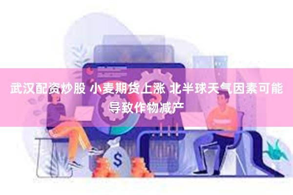 武汉配资炒股 小麦期货上涨 北半球天气因素可能导致作物减产