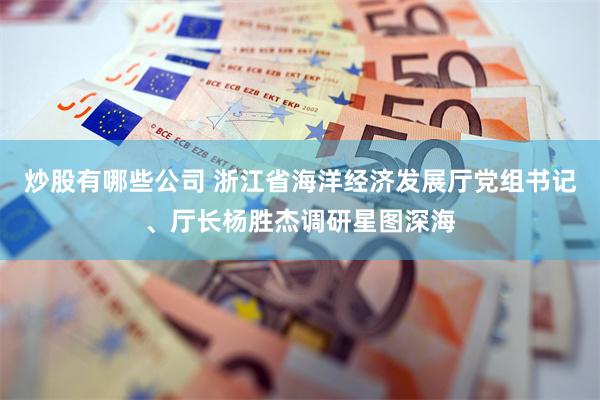 炒股有哪些公司 浙江省海洋经济发展厅党组书记、厅长杨胜杰调研星图深海