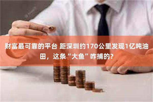 财富最可靠的平台 距深圳约170公里发现1亿吨油田，这条“大鱼”咋捕的？