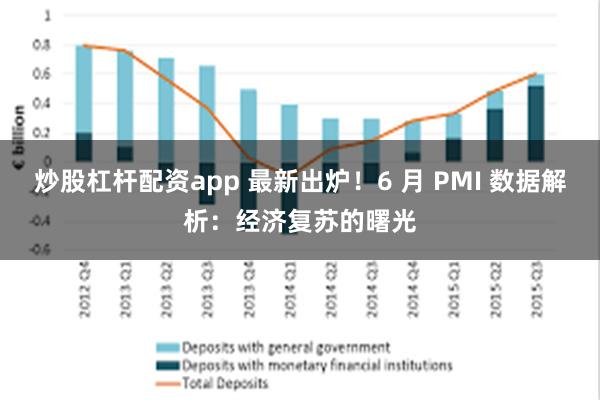 炒股杠杆配资app 最新出炉！6 月 PMI 数据解析：经济复苏的曙光